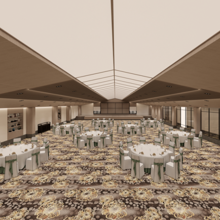 BH2542 - BANQUET CARPETS